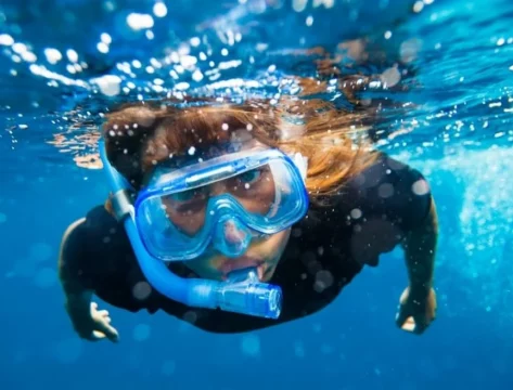 snorkeling-miami-florida