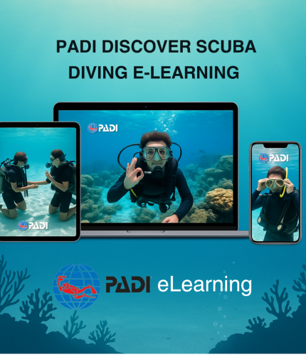 Beginner Scuba Divers Underwater During PADI Discover Scuba Diving eLearning Experience