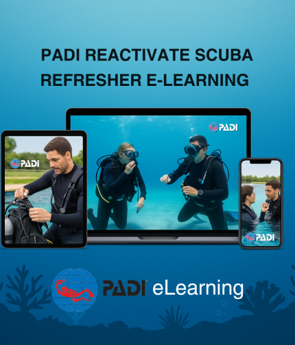 Scuba diver refreshing skills during PADI Reactivate pool session with instructor.