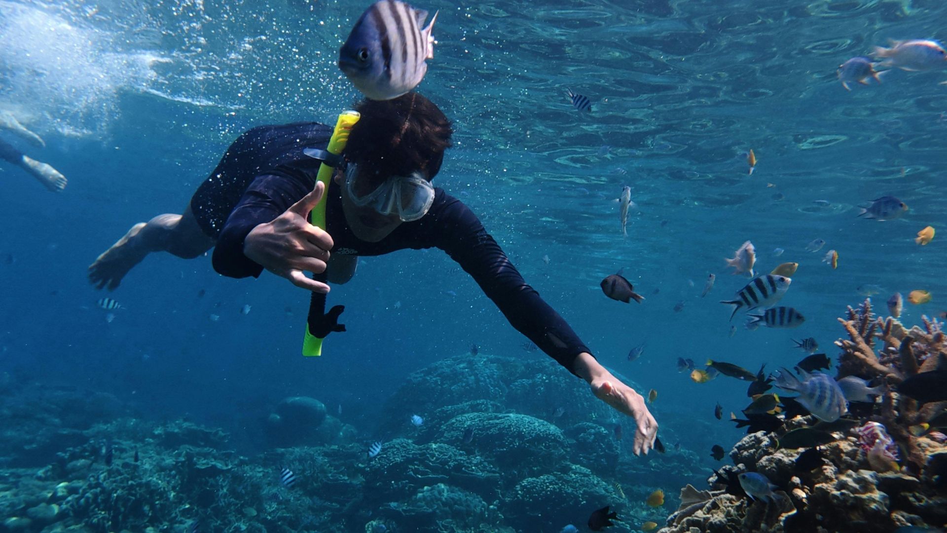 Scuba Thermal Accessories