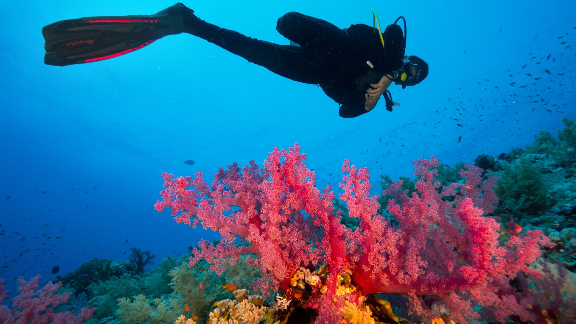 Scuba Snorkel Set